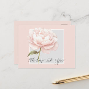 Postal Rosa Blanca Bonita Personalizada