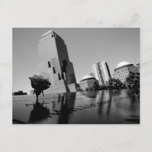 Postal Rosa blanca de recuerdo