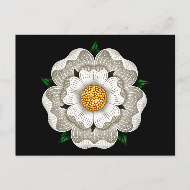 Postal Rosa Blanca de York (Anverso)