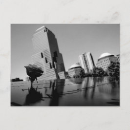 Postal Rosa blanca del recuerdo