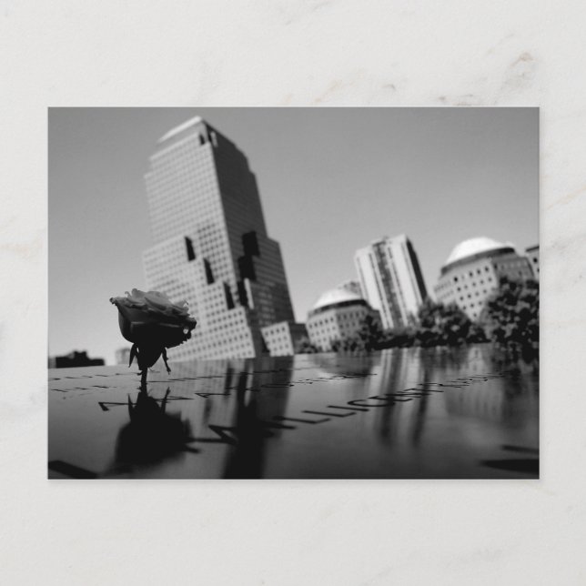 Postal Rosa blanca del recuerdo (Anverso)