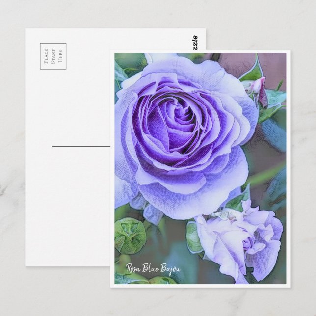 Postal Rosa Blue Bajou (Anverso / Reverso)