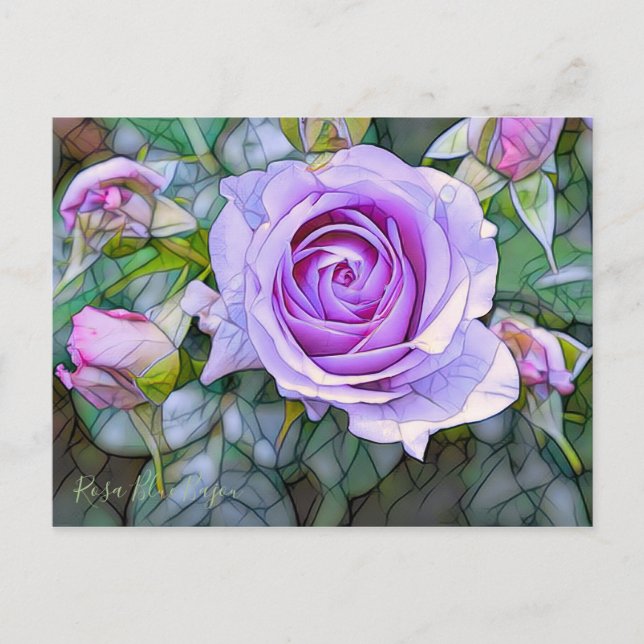 Postal Rosa Blue Bajou [Postal] (Anverso)