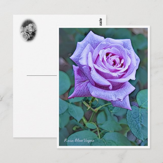 Postal Rosa Blue Vague (Anverso / Reverso)