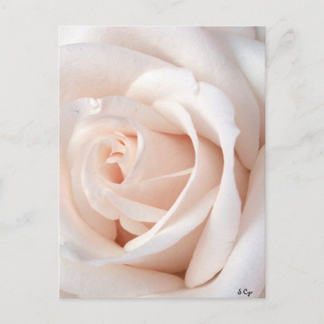 Postal Rosa boda (Anverso)
