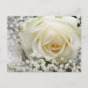 Postal Rosa boda
