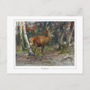 Postal Rosa Bonheur #135 - Arte Selecto