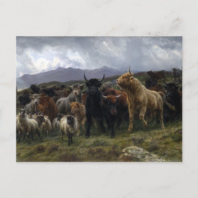 Postal Rosa Bonheur Highland Raid (Anverso)