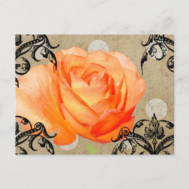 Postal Rosa bonito (Anverso)