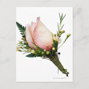 Postal Rosa Boutonniere