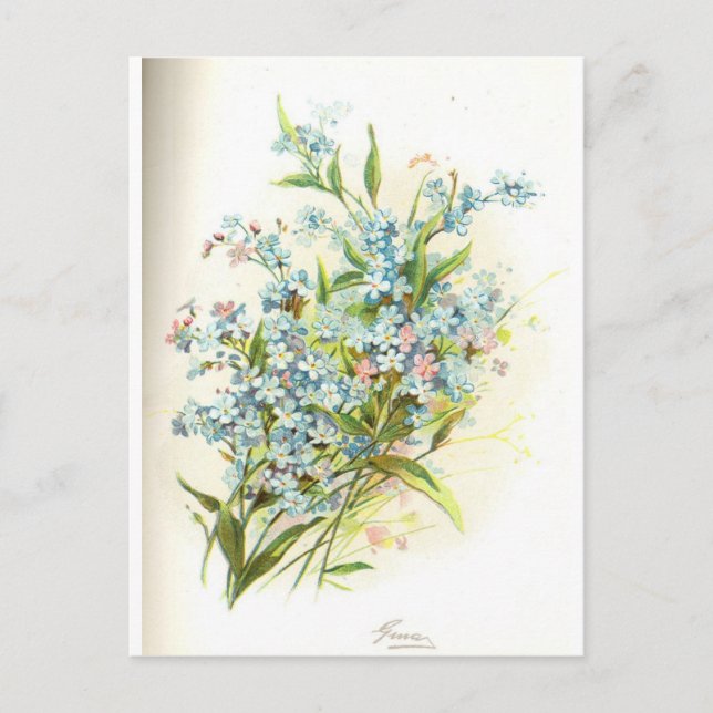 Postal rosa brier (Anverso)