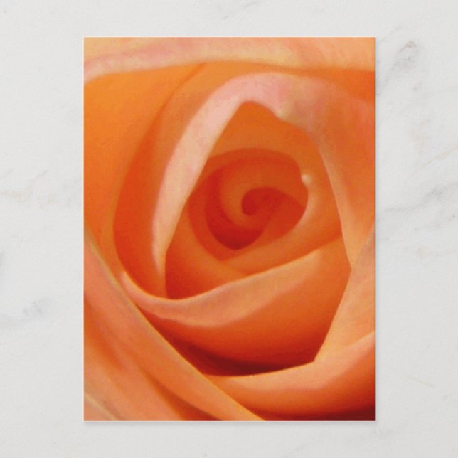Postal Rosa Bud (Anverso)