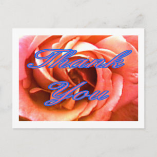 Postal Rosa Canterbury 4 Gracias 1 El MUSEO Zazzle Gi