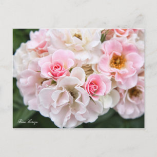 Postal Rosa Cerezo [postal]