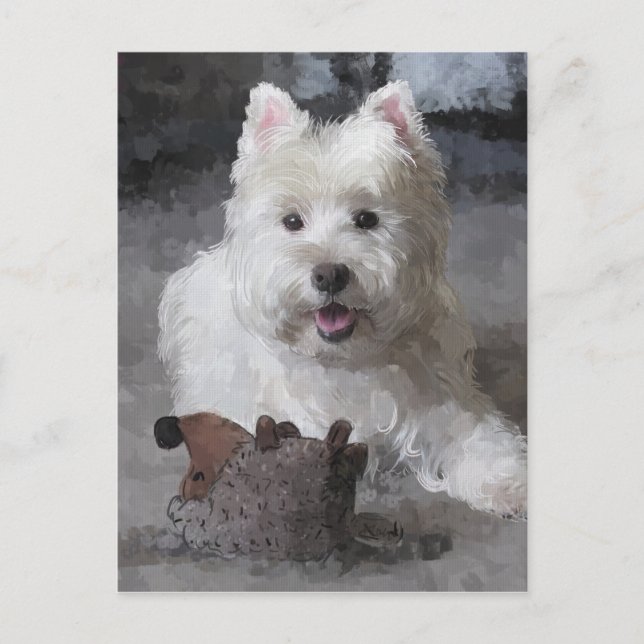 Postal Rosa Con Un Nuevo Juguete (Anverso)