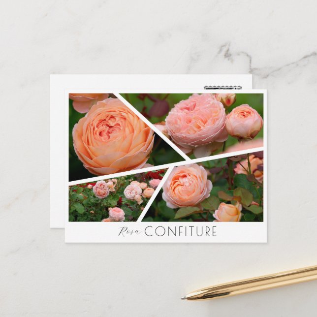 Postal  Rosa Confiture (Anverso/Reverso In Situ)