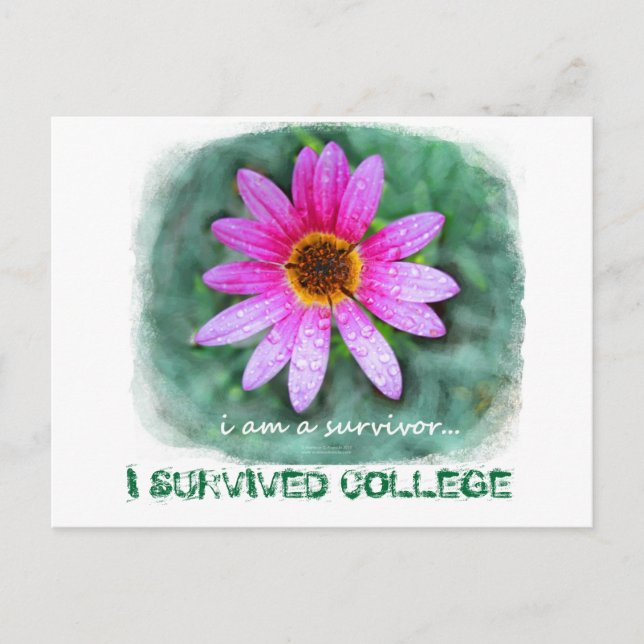 Postal Rosa Daisy soy un sobreviviente (Anverso)