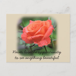 Postal Rosa de coral con gotas de lluvia