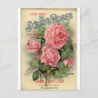 Postal Rosa de cosecha