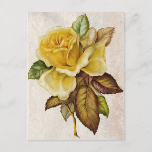 Postal Rosa de cosecha amarilla