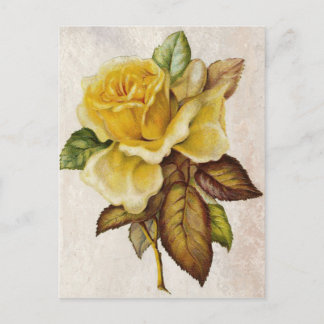 Postal Rosa de cosecha amarilla