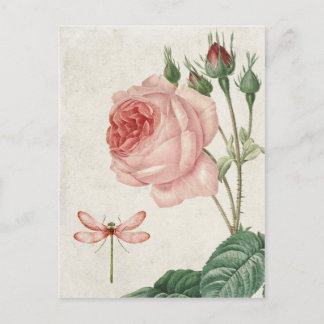 Postal Rosa de cosecha y libélula