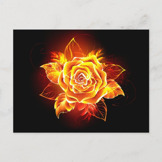 Postal Rosa de Fuego Florido (Anverso)