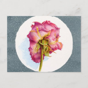 POSTAL ROSA DE GIRO CON PARQUÉ