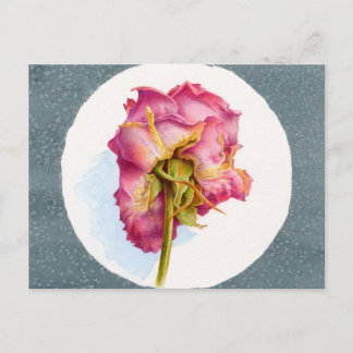 POSTAL ROSA DE GIRO CON PARQUÉ