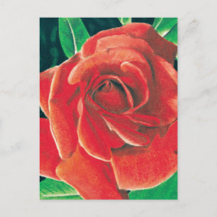Postal Rosa de Jacob Grimm