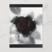 Rosa de memoria de duelo