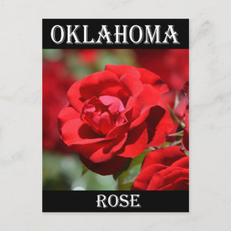 Postal Rosa de Oklahoma