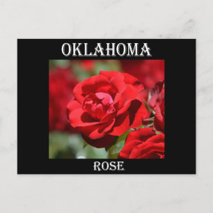 Postal Rosa de Oklahoma