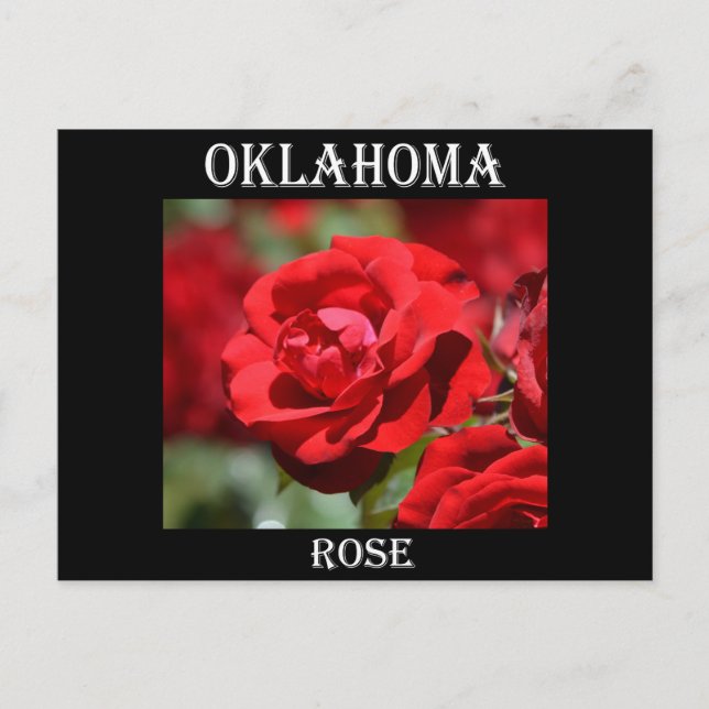 Postal Rosa de Oklahoma (Anverso)