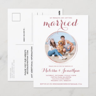 Postal Rosa de presupuesto Personalizado de oro Mascota d
