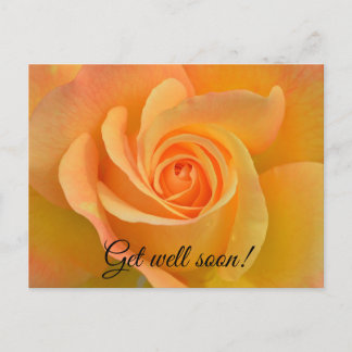 Postal Rosa de recuperación