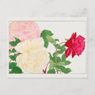 Postal Rosa de Tanigami Konan