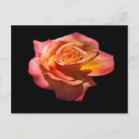 Postal Rosa de té de Granada