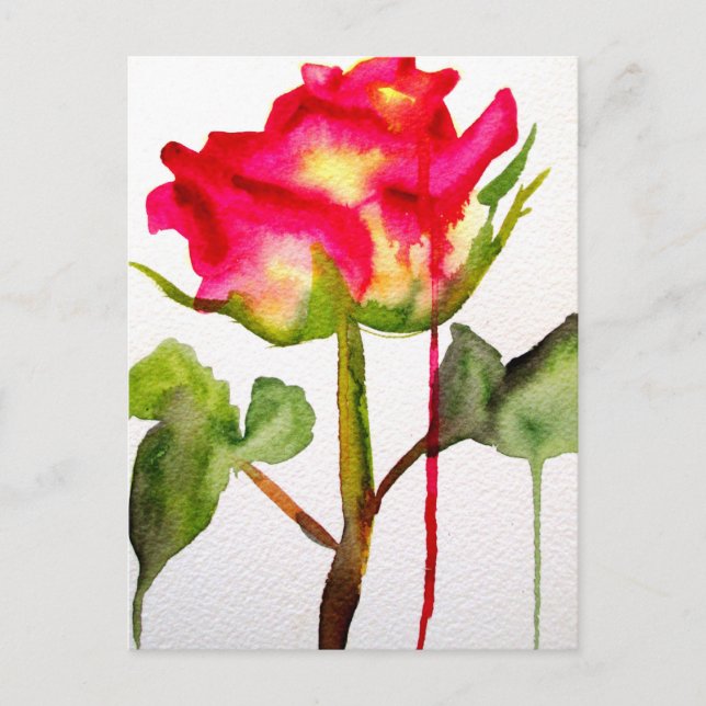 Postal Rosa de Té Híbrida arte floral moderno acuarela (Anverso)