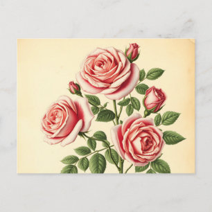 Postal Rosa detallada sobre fondo de pergamino desvanecid
