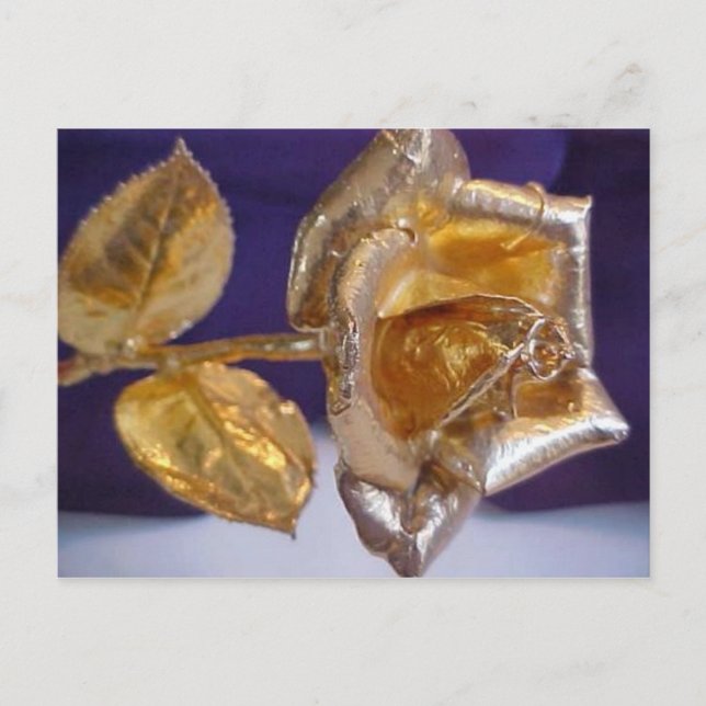 Postal Rosa dorado - amor eterno (Anverso)