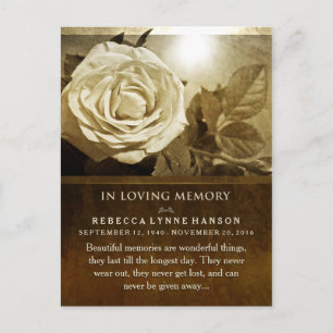 Postal Rosa dorado en solidaridad con la memoria Gracias 