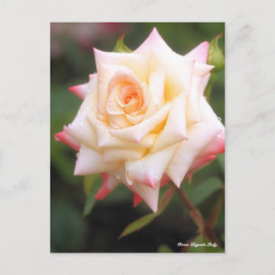 Postal Rosa Elegant Lady