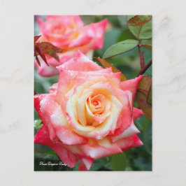 Postal Rosa Elegant Lady [Postcard]