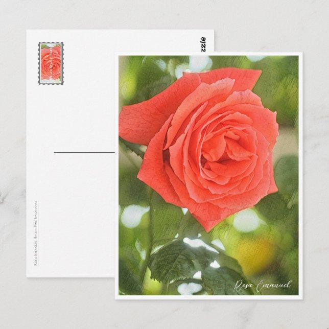 Postal Rosa Emanuel (Anverso / Reverso)