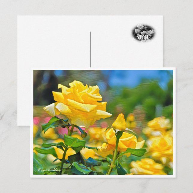 Postal Rosa Emblem (Anverso / Reverso)