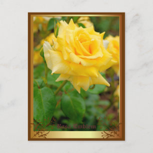 Postal Rosa Emblem [Postal]