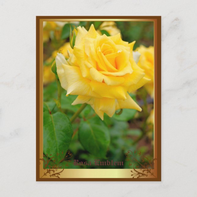 Postal Rosa Emblem [Postal] (Anverso)
