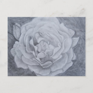 Postal Rosa en gráfico