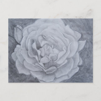 Postal Rosa en gráfico